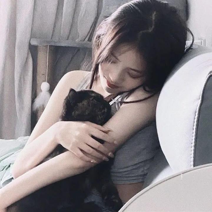 干支魂：猫客万来